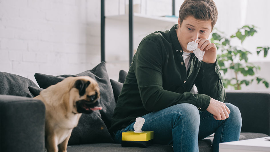 Purchasing an air purifier is one of the smartest ways to improve your house’s indoor air quality. Discover more about the three smartest solutions. 